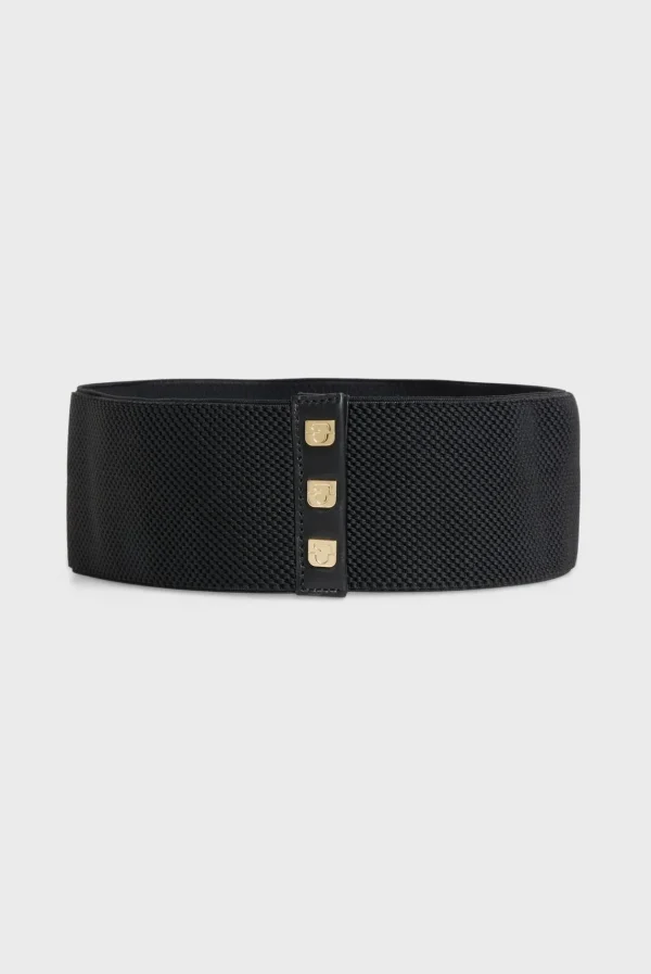 Shop Elastic logoted belt - LE HEDY Belts
